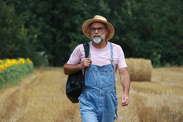 farmer senior bearded casual sunflowers nature