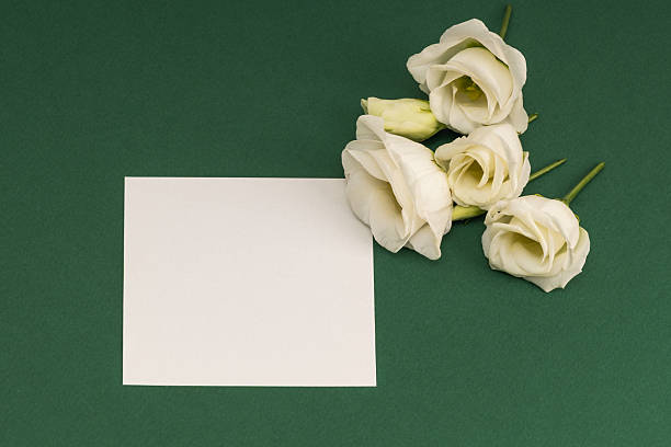 istock Blank card and eustoma flowers on green background. Invitation or congratulations mockup. 2209743842