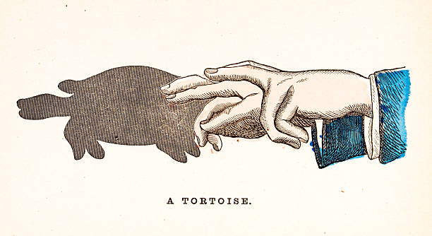 Antique color illustration from children's book (1868), Shadow puppetry