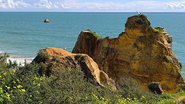 istock Warm Sunset Glow Over Coastal Rock Formations 2209750171