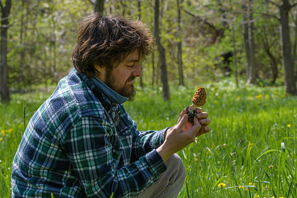A man wearing a flannel shirt kneels in a sunny, grassy forest, carefully examining a freshly picked morel mushroom. This image captures the essence of outdoor hobbies and foraging during springtime, emphasizing nature, sustainable living, and the quiet joy of discovering wild foods.