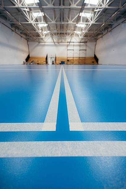 istock Modern sports hall with blue flooring and high ceiling. 2209757577