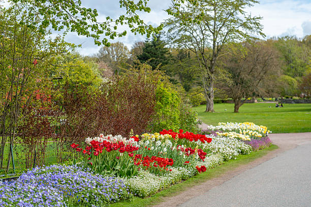 istock Springtime flowerbeds in Botanical garden 2209758340