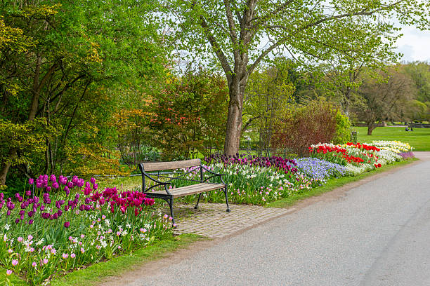 Spring in a park