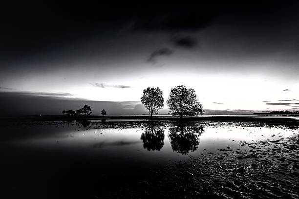 istock Blackwhite Landscape photo at Indonesia 2209761057