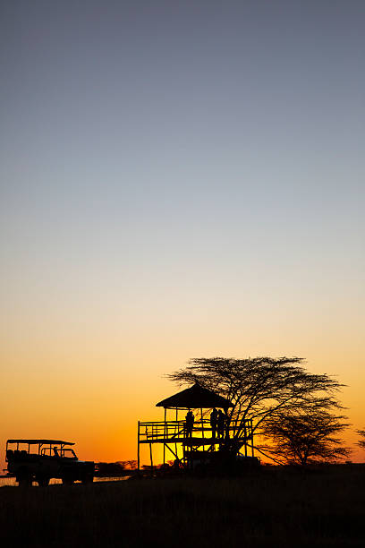 istock Tourists on Safari on a sunset viewing deck 2209761707