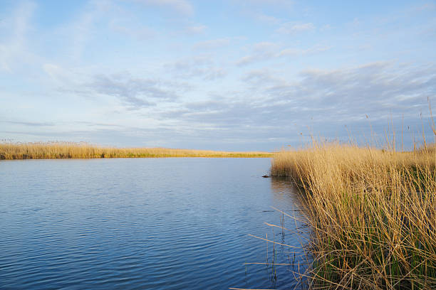 Beautiful morning river landscape. morning calm and silence of the hand.
