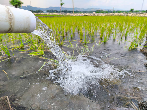 istock Irrigation of rice fields using pump wells with the technique of pumping water from the ground to flow into the rice fields. The pumping station where water is pumped from a irrigation canal system. 2209765146