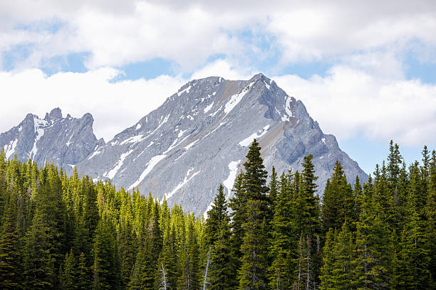 A striking view of Mount Kidd in Kananaskis, Alberta, Canada, showcasing its rugged, snow-speckled peaks from a unique angle. The foreground features a lush expanse of evergreen forest, seamlessly blending into the mountainous terrain. The partly cloudy sky casts dynamic shadows across the landscape, emphasizing the interplay between light and texture in this pristine wilderness setting.