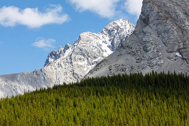 A striking depiction of the rugged beauty of Kananaskis, Alberta, Canada. The scene showcases a dense expanse of green evergreen forests in the foreground, leading up to snow-dusted mountain peaks rising sharply against a partly cloudy sky. The interplay of light and shadow highlights the intricate textures and contrasts within the rocky terrain and lush vegetation, capturing the untouched wilderness of the Canadian Rockies.