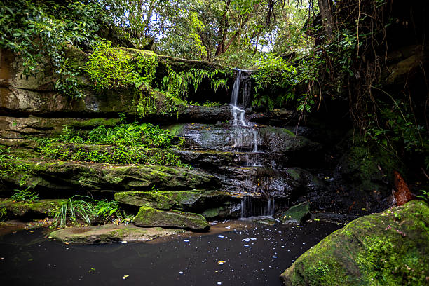 A picturesque waterfall tumbles gently over weathered sandstone, surrounded by dense green foliage in a vibrant forest setting. The scene captures the tranquility and natural beauty of a hidden woodland stream