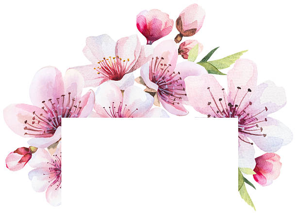 istock Frame with watercolor pink cherry flowers and green leaves, wedding sakura isolated illustration 2209772031