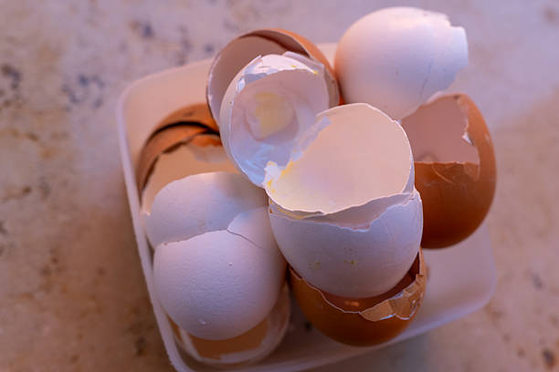 Close Up of a Cracked Peeled Shell Broken Egg on White Background