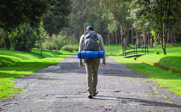 A person walks down a paved park path amid lush greenery, wearing a backpack with a blue rolled-up sleeping mat. A quaint wooden bridge emerges along the way. ideal for outdoor adventure themes