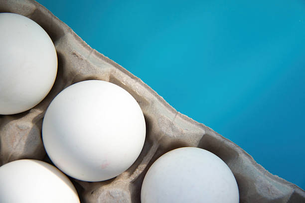 Fresh White Eggs rest in Carton against vibrant Blue background, offering contrast. Culinary content, Packaging design, Freshness Organic Products for Diet Proteins Breakfast articles Easter themes