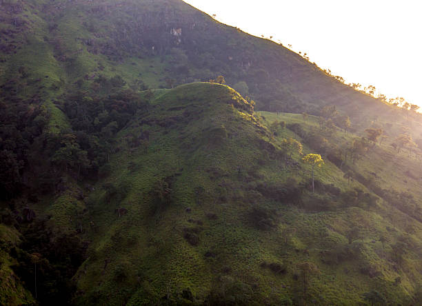istock A mountain with a green hillside and trees 2209781125