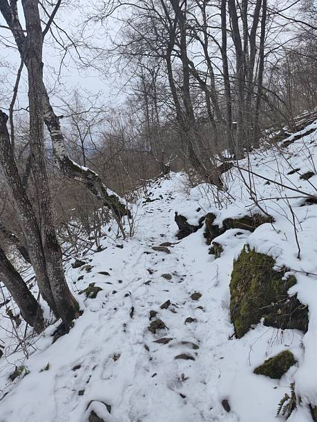 istock Boyana hiking route in winter 2209781754
