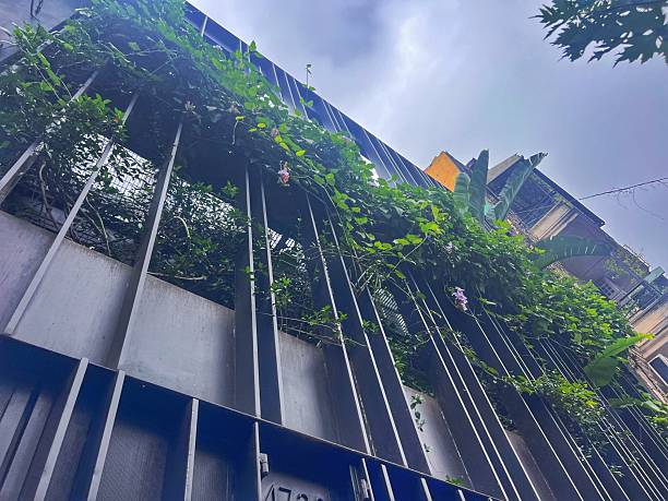 istock Environmental conservation in Buenos Aires Argentina 2209784367