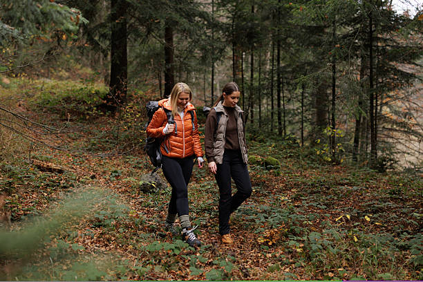 Two women hiking through a beautiful autumn forest, enjoying nature and friendship. They wear jackets and backpacks, surrounded by vibrant foliage and trees in the background.