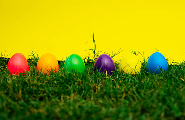 Colorful Eggs hidden In Green Grass Against Yellow Background
