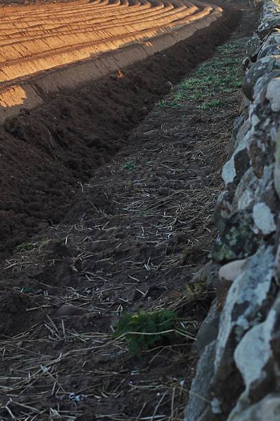 istock Back roads of Girvan 2209792841
