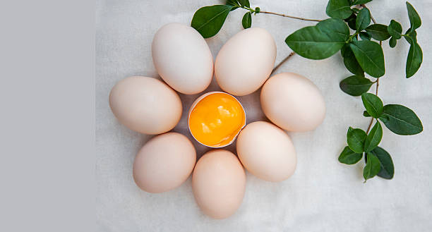 Eggs in flower shape - Spring Easter Holidays