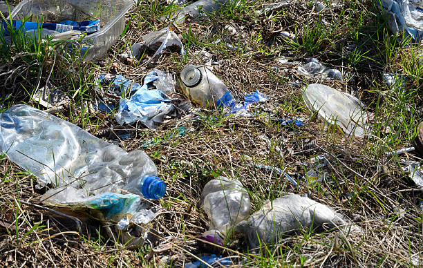 istock Plastic Pollution in Nature, Environmental Damage from Disposable Waste Outdoors 2209797685