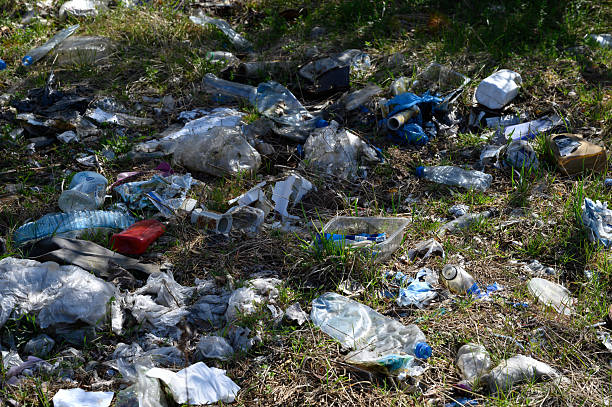 istock Plastic Pollution in Nature, Environmental Damage from Disposable Waste Outdoors 2209797687