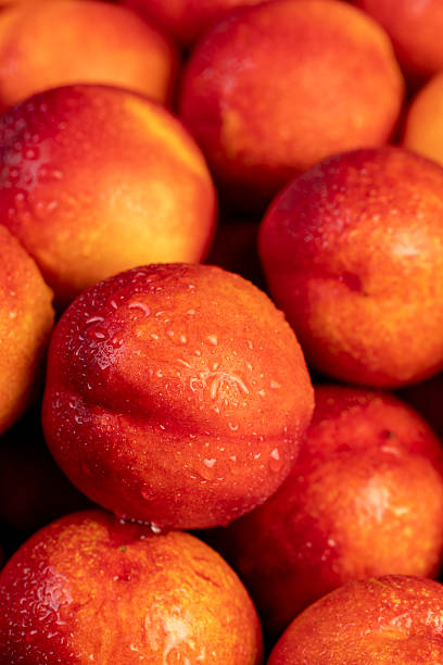 istock a small harvest of ripe washed nectarines in drops 2209798514