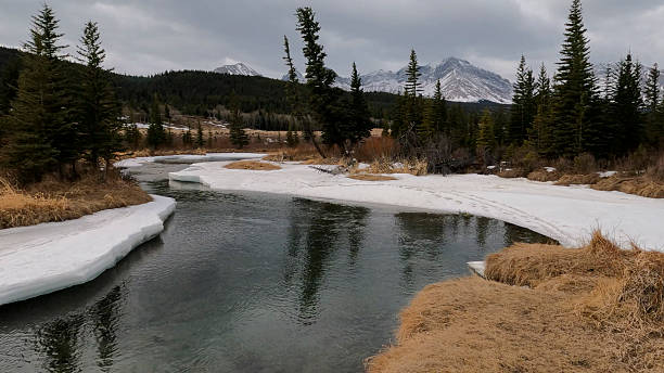 Creek flows through mountain meadow in winter, Crowsnest Pass, Alberta
