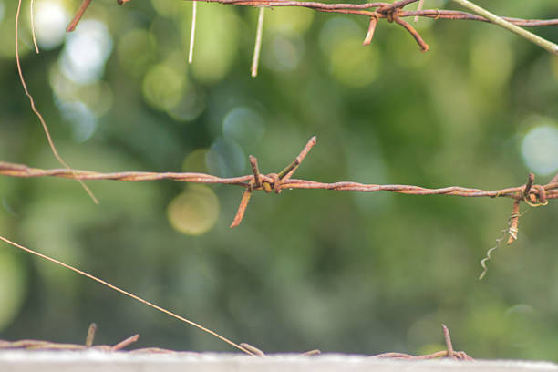 Close up of Barbed Wire with a Blur Background