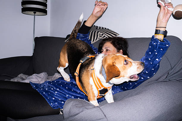 A black and white dog is living its life at its house.