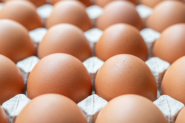 istock Fresh organic brown chicken eggs in cardboard tray 2209811991