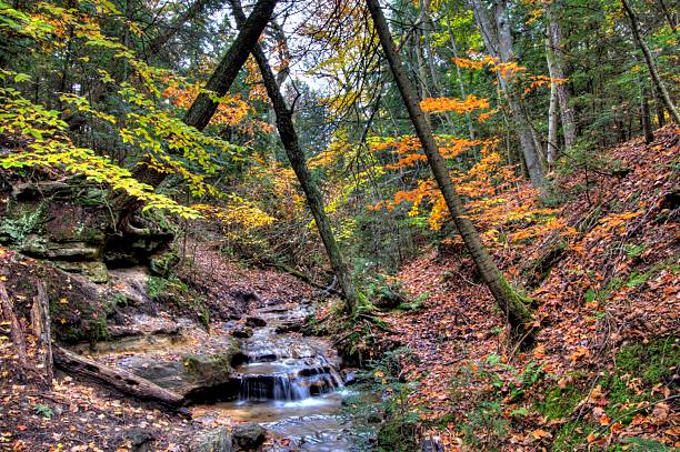 istock Wagner Falls Scenic Site in Autumn, Michigan 2209815719