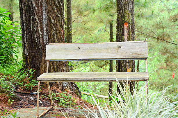 A serene lakeside scene featuring two wooden chairs and a small table, perfect for a peaceful getaway.