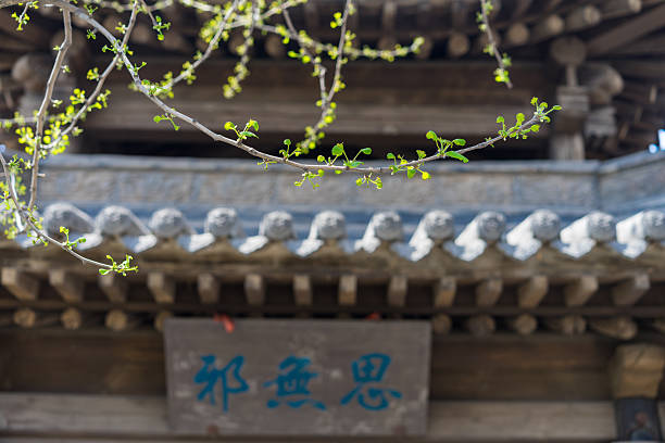 Chang Family Courtyard, Shanxi, China