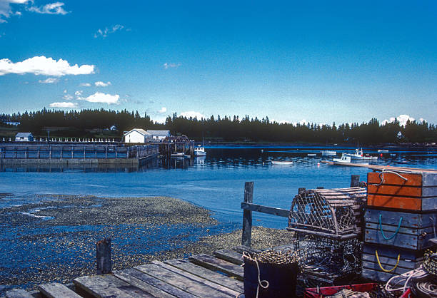 istock Maine - Owls Head Lobster Traps & Low Tide - 1985 2209835048