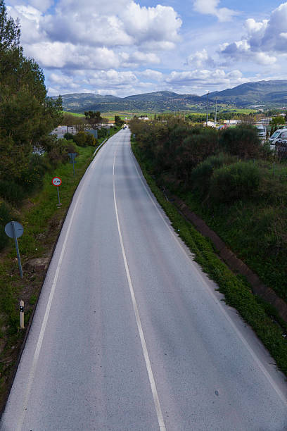 istock Empty country road leading through green landscape under cloudy sky 2209835135