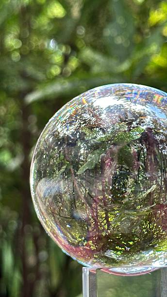 istock Natural Background Lush Green Honduran Foliage through Crystal Reflection Globe 2209837222