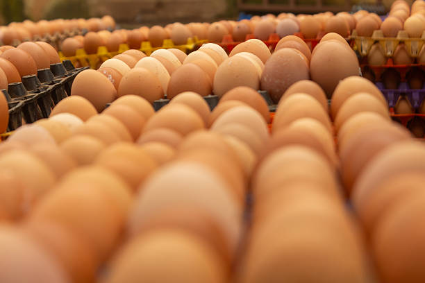 istock vast array of brown eggs, neatly packed in colorful crates, filling the frame 2209843759