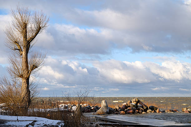 istock Beautiful winter landscape, tree on the seashore 2209844201