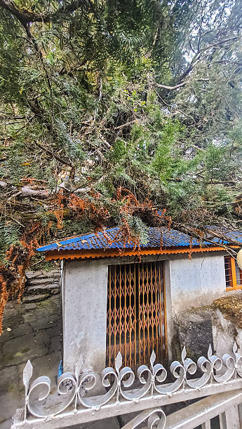 istock An outbuilding behind the fence. 2209844367