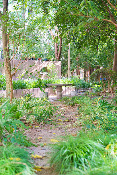 istock Path in the green garden 2209844381