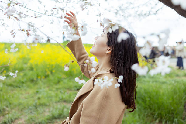 Woman enjoying with cherry blossoms