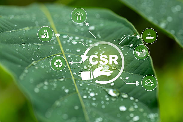 istock Corporate Social Responsibility Concept on Leaf Background 2209852278