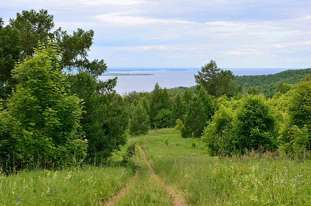 istock Scenic forest path leading towards a lake under a cloudy sky 2209854896