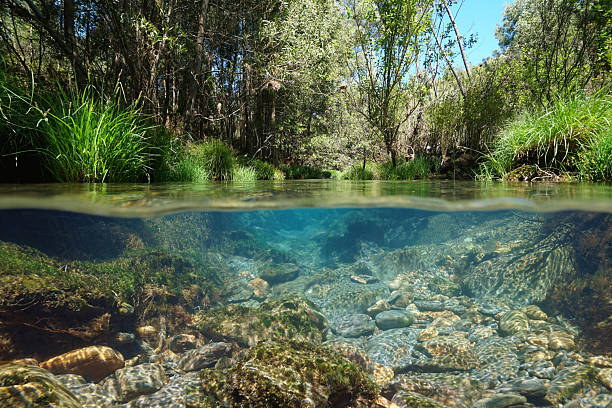 istock Wild river natural scene over and under water surface Spain 2209860119