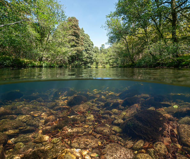 istock Wild river lined by trees with rocks underwater natural scene Spain 2209860225