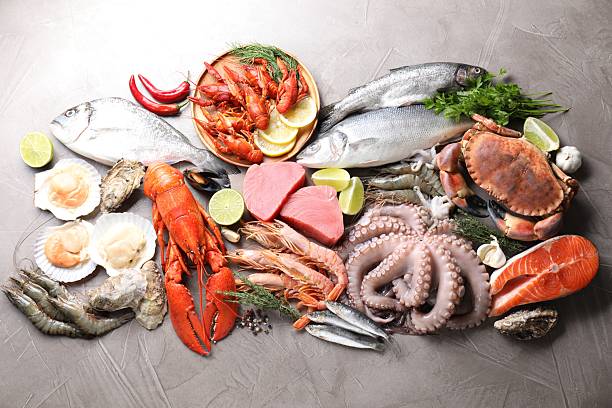 istock Many different sea food, herbs and lime on grey textured table, flat lay 2209865634