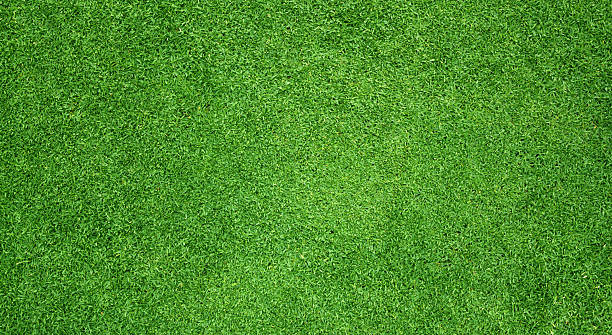 istock grass background Golf Courses green lawn 2209866989